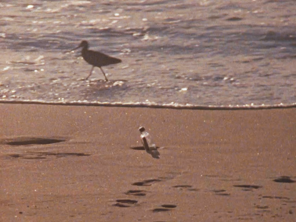 This Wretched Life — production still 4